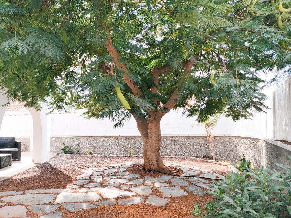Pretty Terrace Holiday House In Maspalomas بلايا ديل إنغلز المظهر الخارجي الصورة
